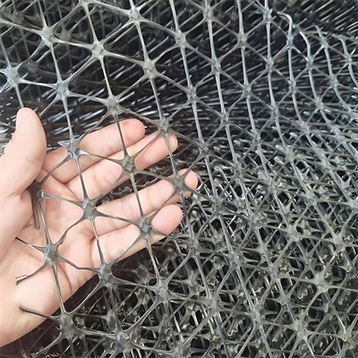 Geogrid แบบสามแกนสำหรับการเสริมแรงทางเท้า